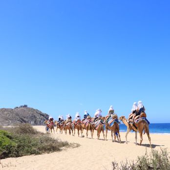 Cabo Adventures - More Amazing Photo Ops - Boat Tours Near Me - Cabo San Lucas, BCS Cabo Adventures - More Amazing Photo Ops - Boat Tours Near Me - Cabo San Lucas, BCS