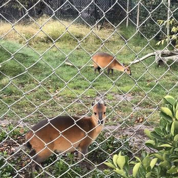 Central Coast Zoo - Zoos Near Me - Atascadero, California Central Coast Zoo - Zoos Near Me - Atascadero, California