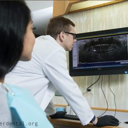Archer Dental