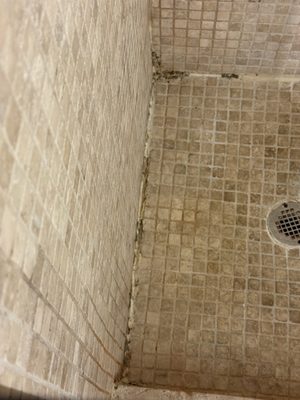 The Centennial Hotel by null