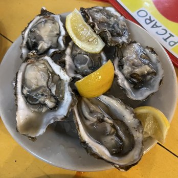 Picaro - Fresh oysters - Spanish Near Me - San Francisco, California Picaro - Fresh oysters - Spanish Near Me - San Francisco, California