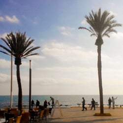 Paseo Juan Aparicio - Paseo Juan Aparicio, Torrevieja, Spain