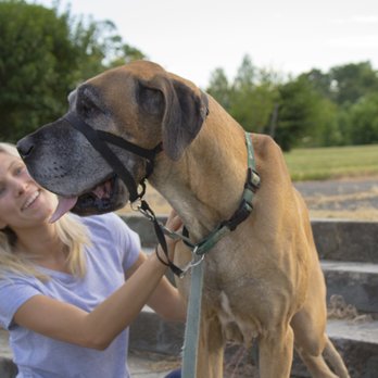 Off Collar  - Duke Wellington and Owner Lauren Flanagan - Pet Training Near Me