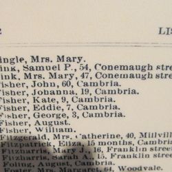 Johnstown Flood Museum - A list of vicitims.