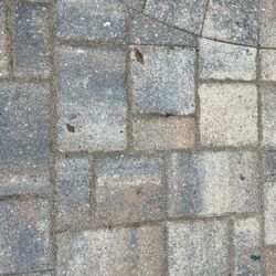 Revive Concrete Aesthetics