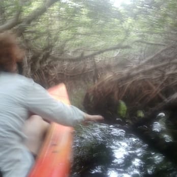 Big Pine Kayak Adventures - Mangrove forest kayaking trail - Boating Near Me - Big Pine Key, Florida