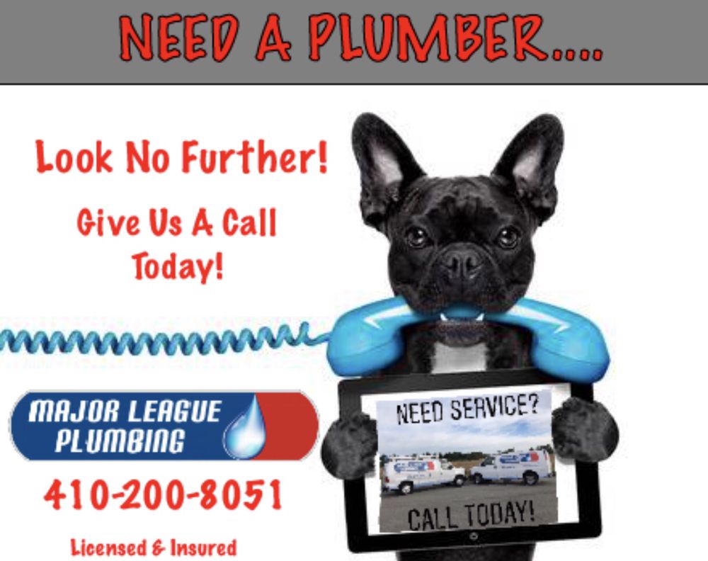 Slide of Major League Plumbing