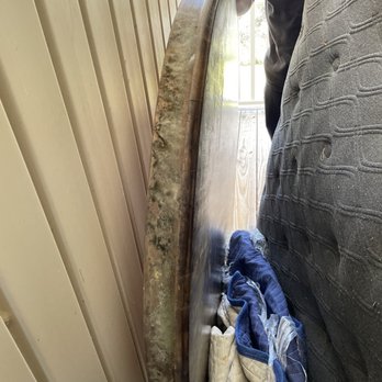 Extra Space Storage - Mold grew from the water damage in storage unit - Self Storage Near Me - Boston, Massachusetts