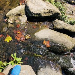 Historic Rittenhouse Town - My personal white noise machine