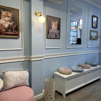 Meow Maison - Themed Cafes Near Me - Washington, DC, District of Columbia