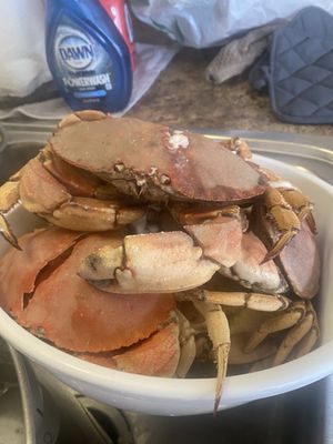 Pine River Fish Market by null