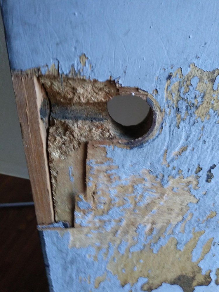 BICENTENNIAL APARTMENTS Updated August 2024 20 Photos 1355