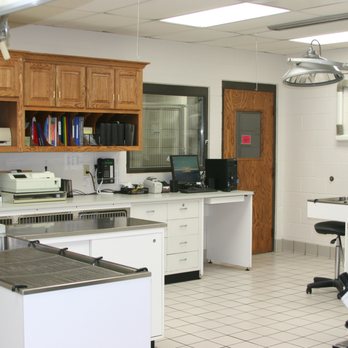 Kaukauna Veterinary Clinic - Veterinarians Near Me - Kaukauna, Wisconsin Kaukauna Veterinary Clinic - Veterinarians Near Me - Kaukauna, Wisconsin