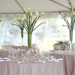 Tara Tent and Party Rentals - Tent Wedding Decorations