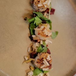 Shrimp Cocktail - Scallops