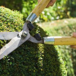 Oly Landscape Construction