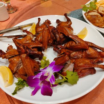 Ming Seafood Restaurant - Quails - Seafood Near Me - Quincy, Massachusetts Ming Seafood Restaurant - Quails - Seafood Near Me - Quincy, Massachusetts