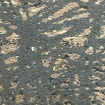 DoubleTree by Hilton Hotel Wilmington - Same carpet, two weeks later. Filthy place. - Hotels Near Me - Wilmington, Delaware