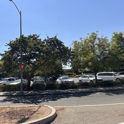 Department of Motor Vehicles - Looks crazy again. Yay.
