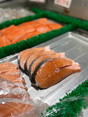 Angel Fish Market by null