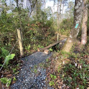 Jennings State Forest - Trail improvements - Hiking Near Me - Middleburg, Florida Jennings State Forest - Trail improvements - Hiking Near Me - Middleburg, Florida