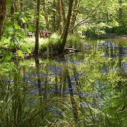 Holiday Farm Rv Resort