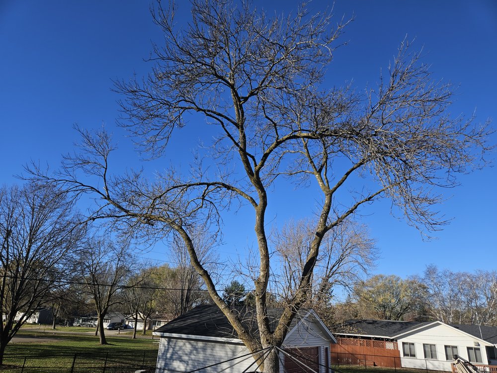 Twins G Tree Service - tree service in Saint Paul, MN