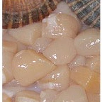 Glidden's Island Seafood - Nantucket Bay Scallops. We ship FedEx. - Seafood Markets Near Me - Nantucket, Massachusetts Glidden's Island Seafood - Nantucket Bay Scallops. We ship FedEx. - Seafood Markets Near Me - Nantucket, Massachusetts