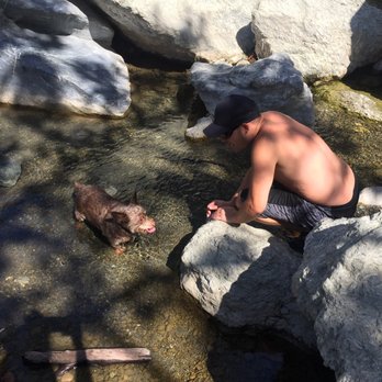 Sunol Regional Wilderness Area - Mack Mobbin chillin' in the water! - Parks Near Me - Sunol, California Sunol Regional Wilderness Area - Mack Mobbin chillin' in the water! - Parks Near Me - Sunol, California