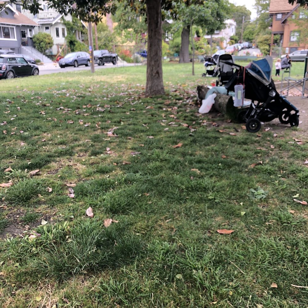 Colby Park - Strollers all over, indicating indigenous visitors. - Parks Near Me - Oakland, California Colby Park - Strollers all over, indicating indigenous visitors. - Parks Near Me - Oakland, California