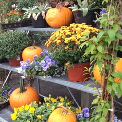 Raritan Agway - We hope everyone is enjoying their autumn! We have corn stalks pumpkins, pansies, autumn flags, plenty of mums and other fall flowers!!!