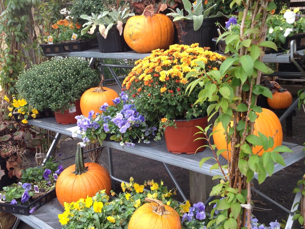 RARITAN AGWAY Updated September 2024 11 Photos 77 Thomptson St