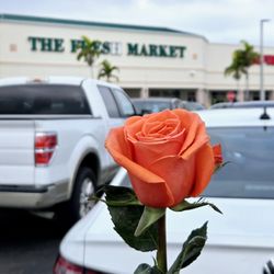 The Fresh Market - A free rose for Valentine's Day