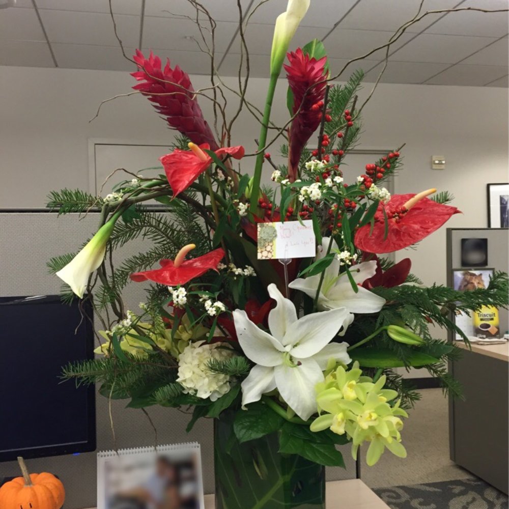 Ladybug Flowers - Christmas delivery to the office - Florists Near Me - Sausalito, California Ladybug Flowers - Christmas delivery to the office - Florists Near Me - Sausalito, California