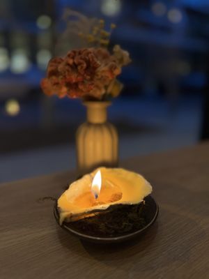 Oyster Oyster by null