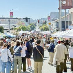 Northern California Cherry Blossom Festival - Crowded
