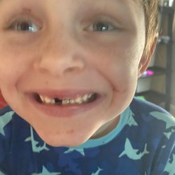 Jeffrey M Cohen, DDS