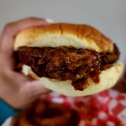 The Rolling Rooster - Pork Chop Sandwich