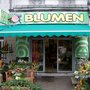 Photo of Blumen Seerose