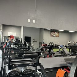 The Muscle Factory