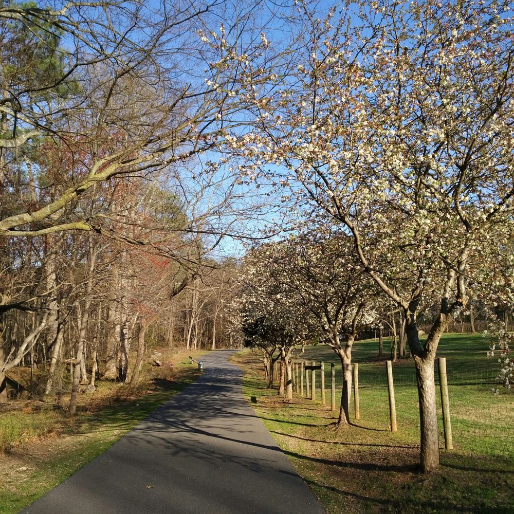 McDaniel Farm Park - The path immediately past the barn - Parks Near Me - Duluth, Georgia McDaniel Farm Park - The path immediately past the barn - Parks Near Me - Duluth, Georgia