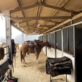 Vino Vaqueros Horseback Riding - These boys are ready! - Horseback Riding Near Me - Los Olivos, California Vino Vaqueros Horseback Riding - These boys are ready! - Horseback Riding Near Me - Los Olivos, California