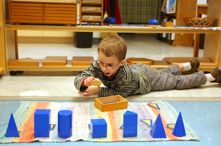 Palm Harbor Montessori Academy - childcare center in Palm Harbor, FL