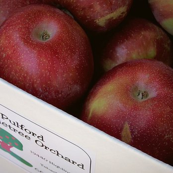 Pulford's Appletree Orchard - Pulfords box of apples - Farms Near Me - Tehachapi, California Pulford's Appletree Orchard - Pulfords box of apples - Farms Near Me - Tehachapi, California