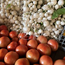 Bloomsbury Farm - White radishes