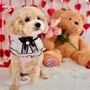 Photo of I'm Pawnie