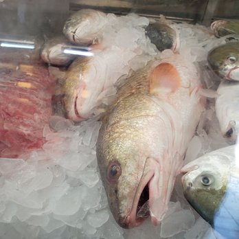 Marie's Seafood - fish in a display case - Seafood Markets Near Me - Port Arthur, Texas Marie's Seafood - fish in a display case - Seafood Markets Near Me - Port Arthur, Texas