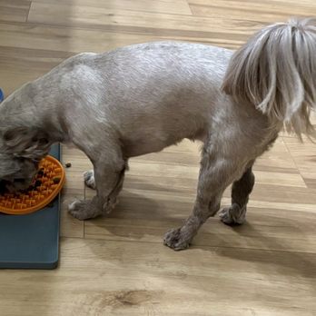 PetSmart - Pet Training Near Me - Chandler, Arizona PetSmart - Pet Training Near Me - Chandler, Arizona