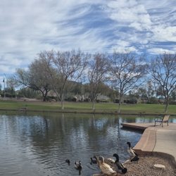 Anthem Community Park - Anthem Park