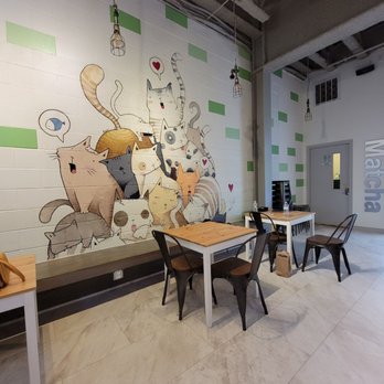 Ninja Matcha - Murals inside - Coffee & Tea Near Me - Houston, Texas Ninja Matcha - Murals inside - Coffee & Tea Near Me - Houston, Texas